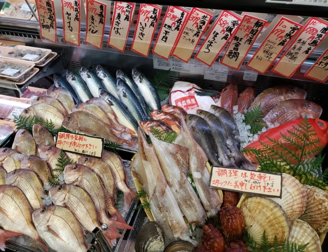 魚で美味しさを伝えます